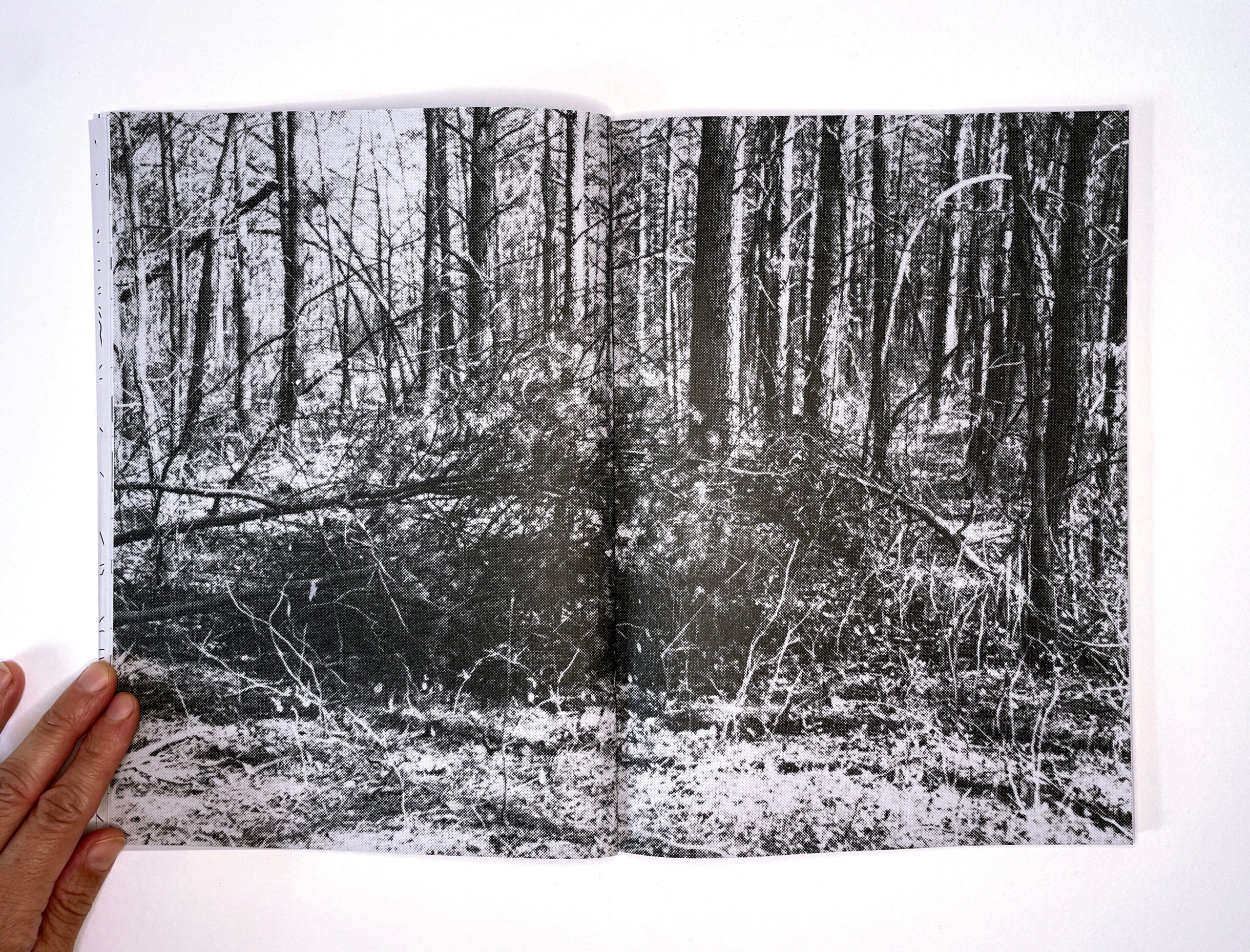 Can You See What I See? image 4